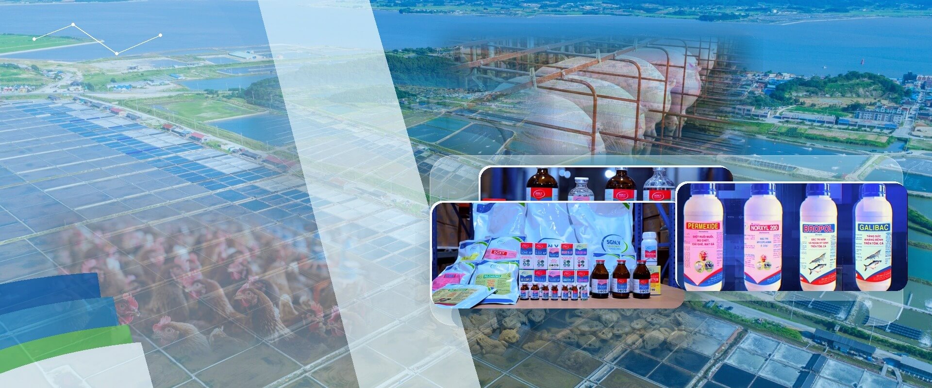 TO CREATE SUITABLE SOLUTIONS FOR LIVESTOCK PRODUCERS