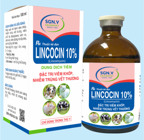 LINCOCIN 10%