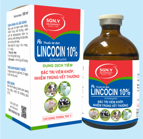 LINCOCIN 10%