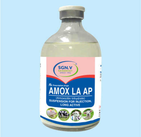 AMOX LA AP