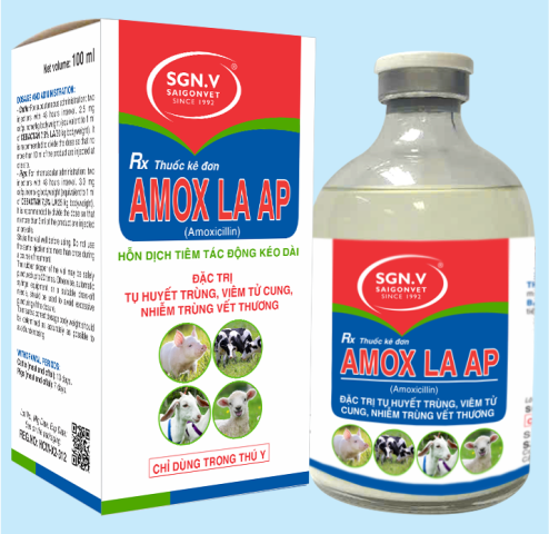 AMOX LA AP