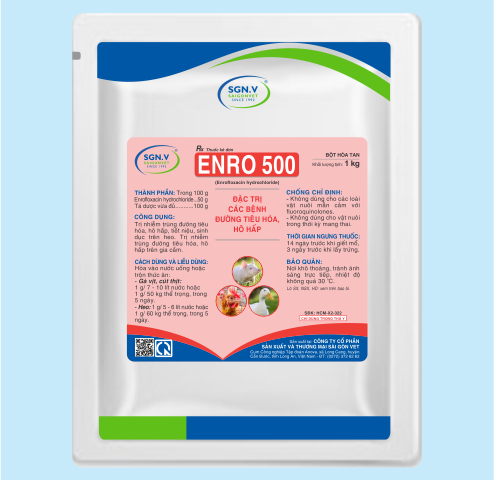 ENRO 500