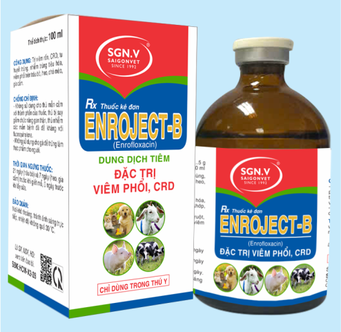 ENROJECT-B
