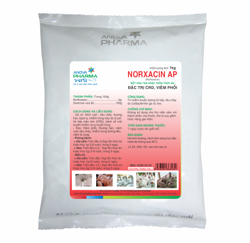 NORXACIN AP