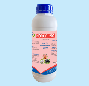NORXYL 200