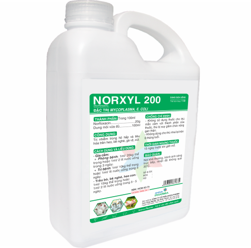 NORXYL 200