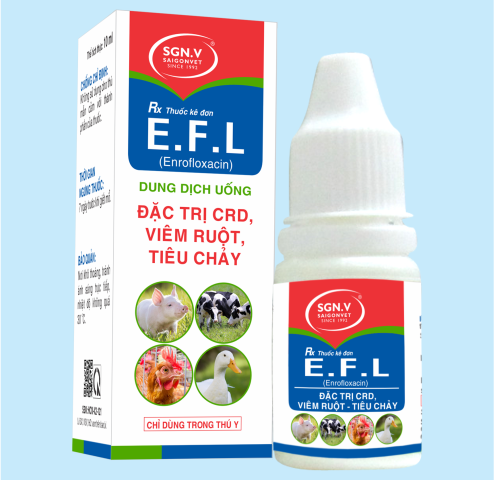 E.F.L
