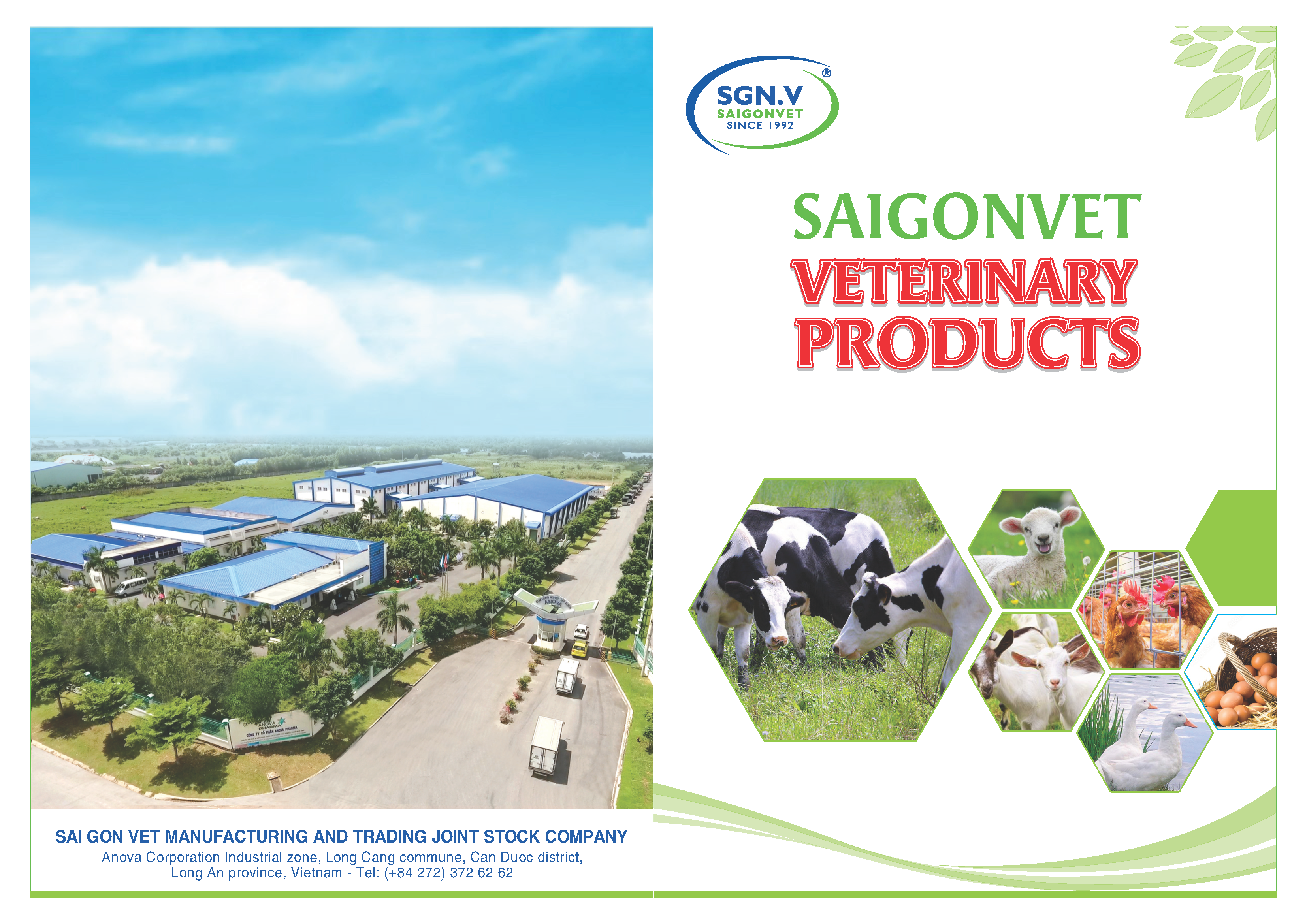 Copy of GIA SUC GIA CẦM