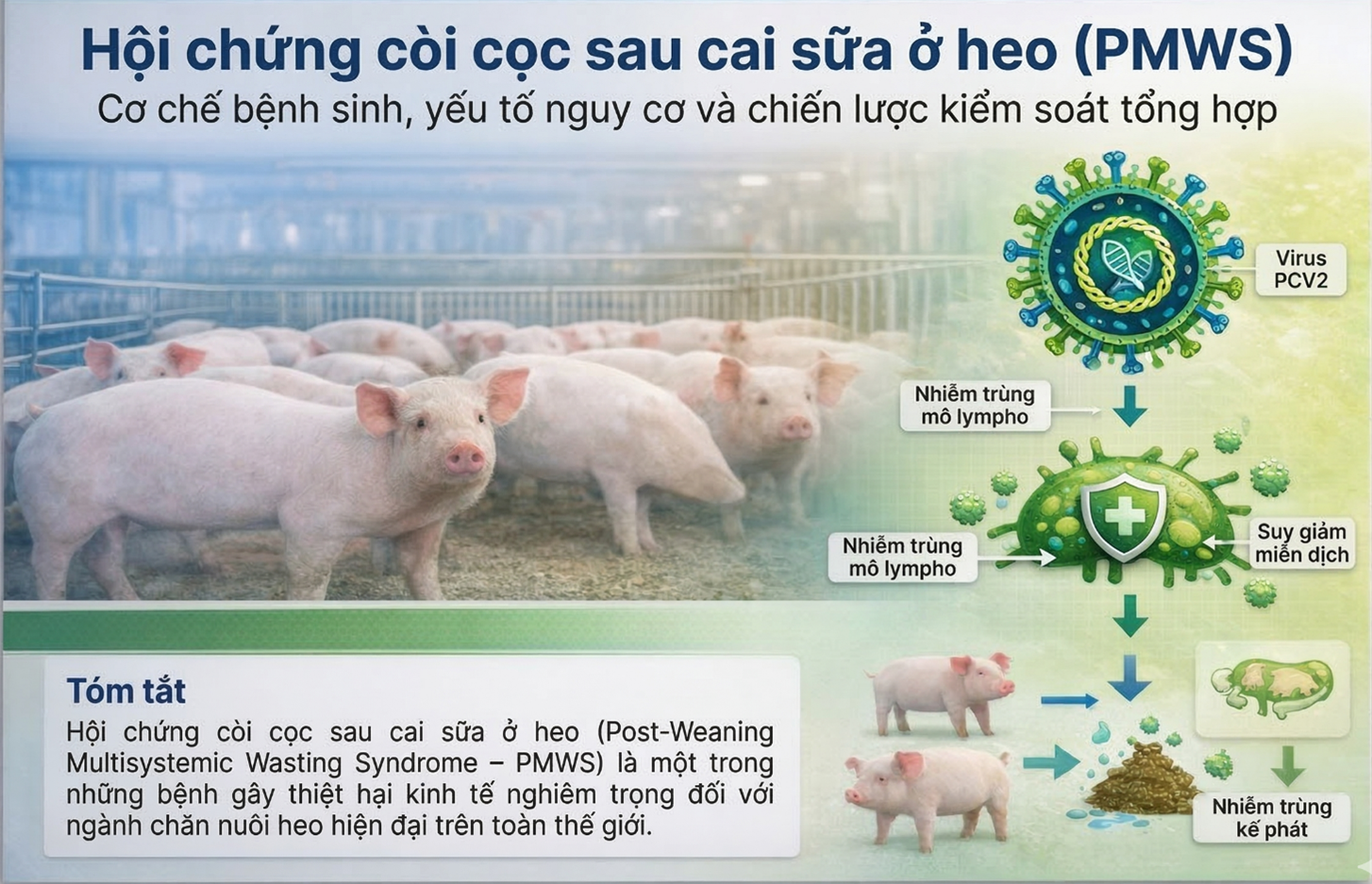 Copy of giai pháp gia súc