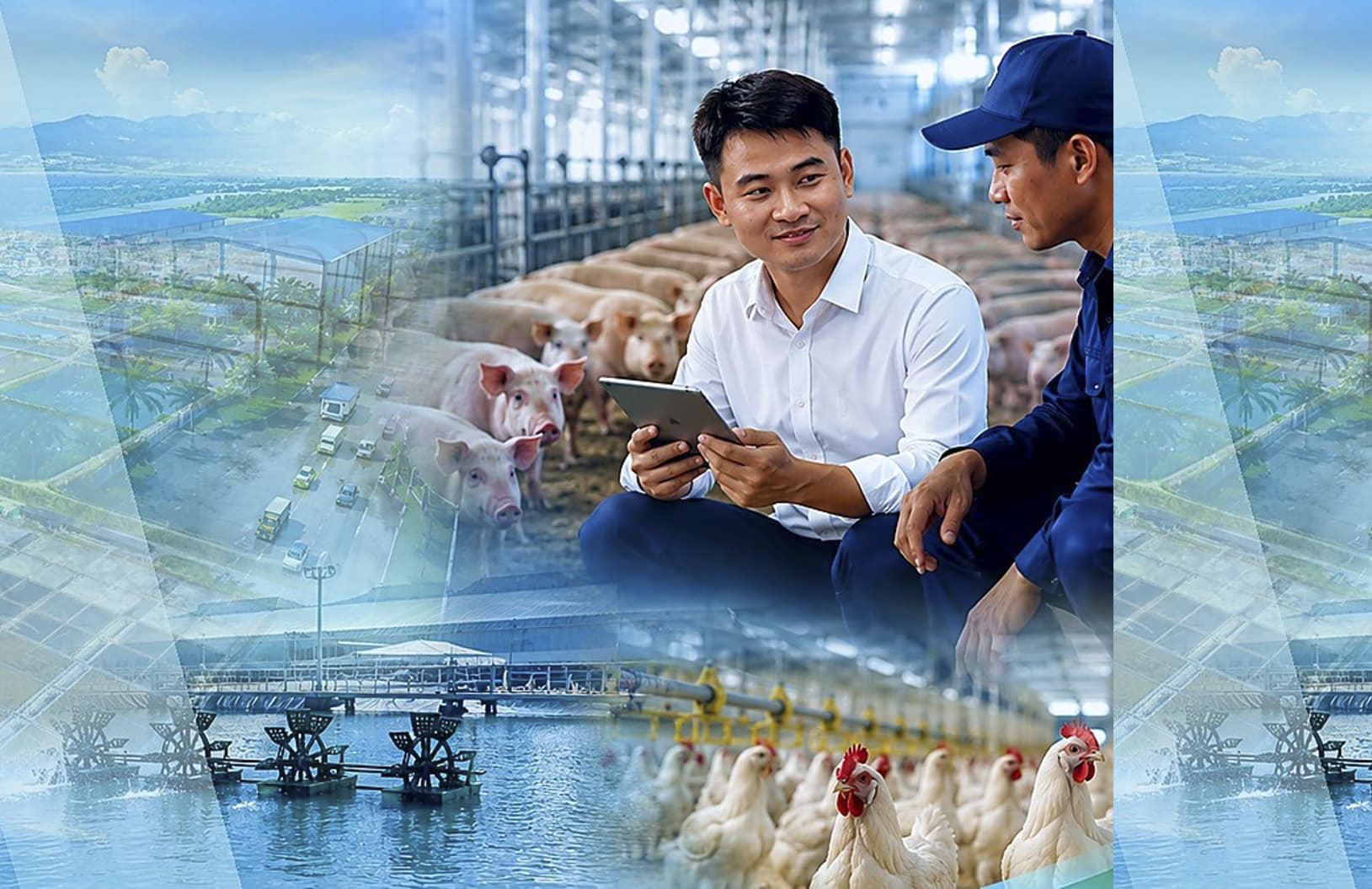 Đội ngũ chuyên viên kỹ thuật thực chiến: Đồng hành cùng người chăn nuôi tại trại