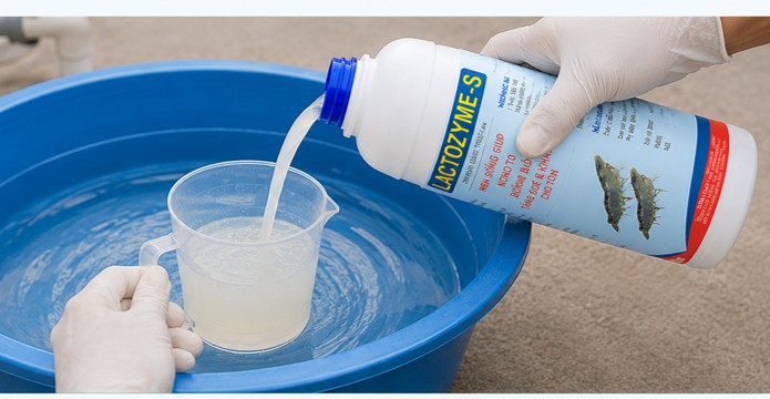 LACTOZYME-S