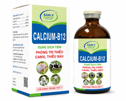 CALCIUM B12