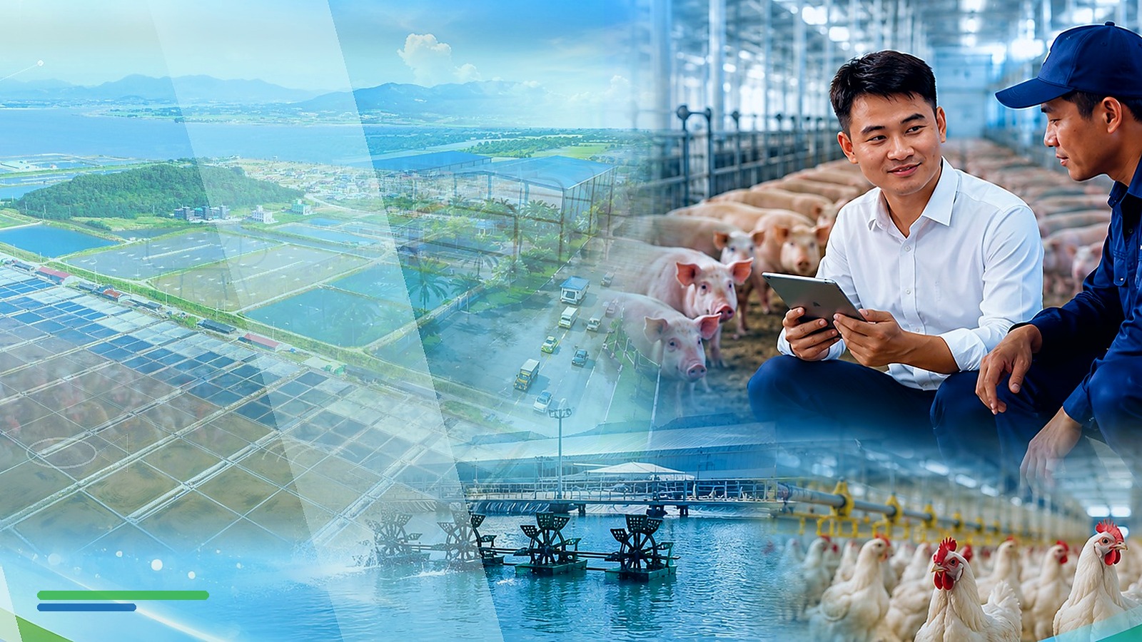 Trang trại chăn nuôi hiện đại và quản lý sức khỏe đàn vật nuôi