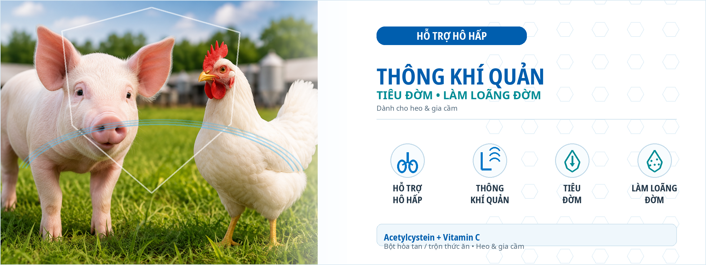 SG.VETEMUC-C hỗ trợ hô hấp, thông khí quản, tiêu đờm và làm loãng đờm trên heo và gia cầm