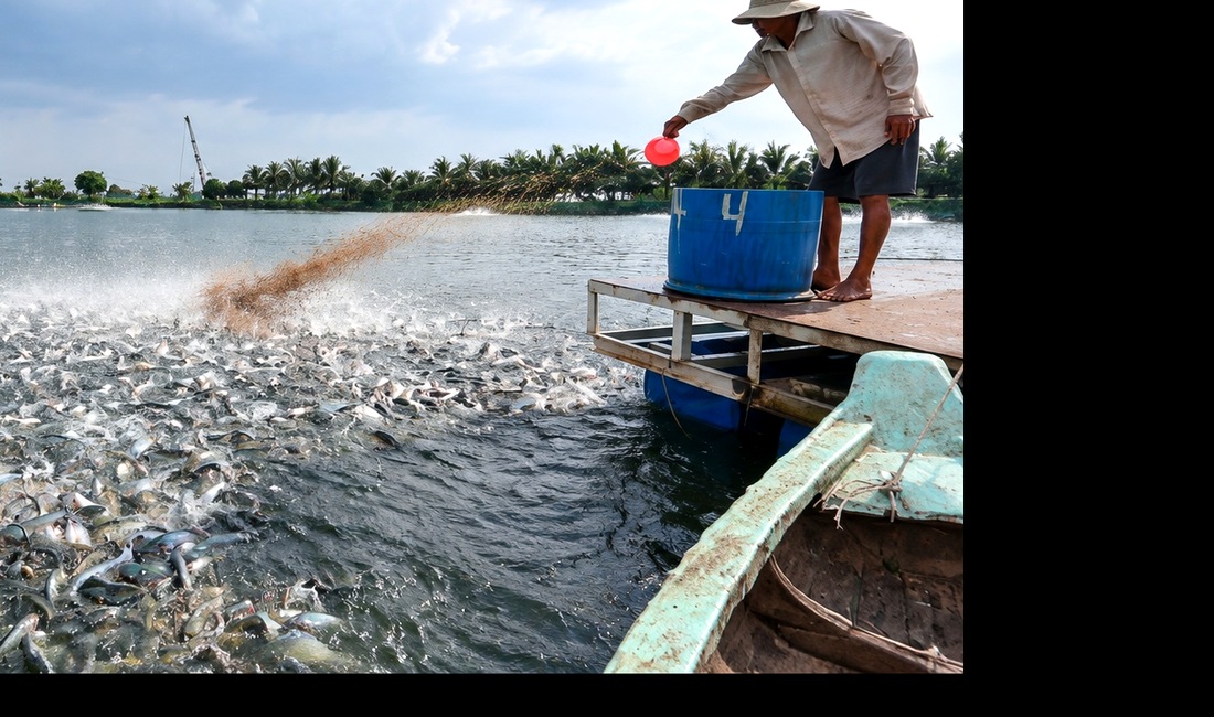 Partnering with livestock and aquaculture producers